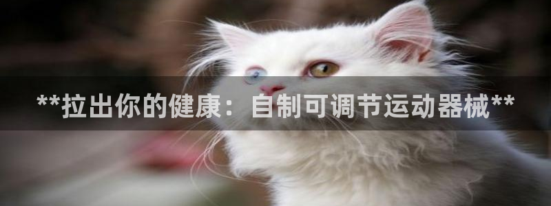 尊龙,人生就是博!登录国际：**拉出你的健康：自制可