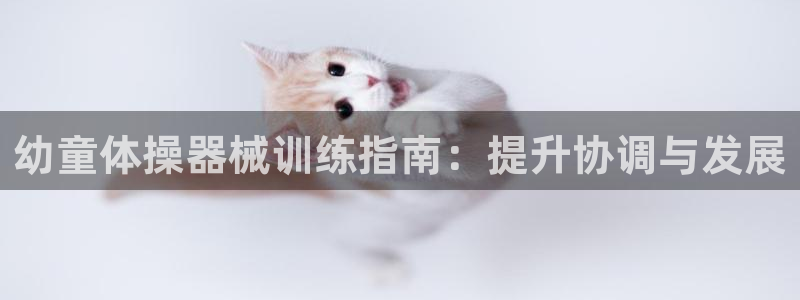 尊龙手机客户端下载：幼童体操器械训练指南：提升协调与