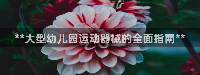 尊龙人生就是博下载：**大型幼儿园运动器械的全面指南