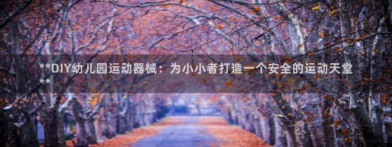 尊龙凯时是哪个国家的：**DIY幼儿园运动器械：为小