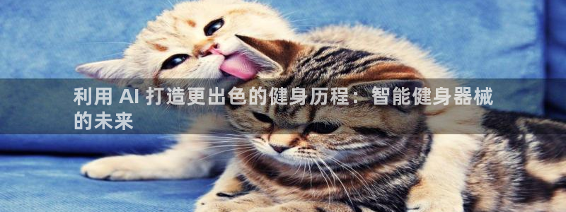 尊龙凯时人生就是博官网登录：利用 AI 打造更出色的