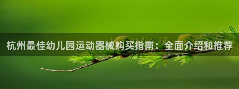 凯时ag旗舰厅：杭州最佳幼儿园运动器械购买指南：全面
