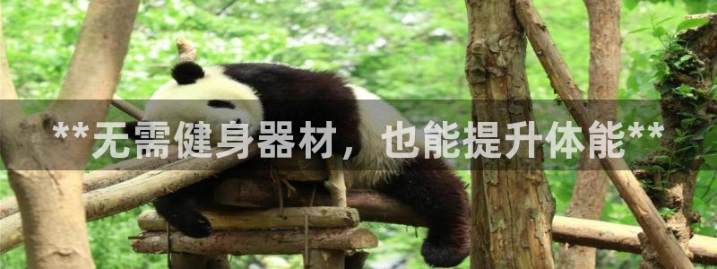 ag尊龙凯时集团：**无需健身器材，也能提升体能**