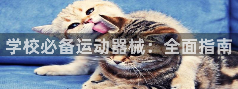 尊龙凯时提现不了：学校必备运动器械：全面指南