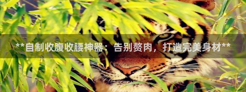 尊龙百度贴吧：**自制收腹收腰神器：告别赘肉，打造完