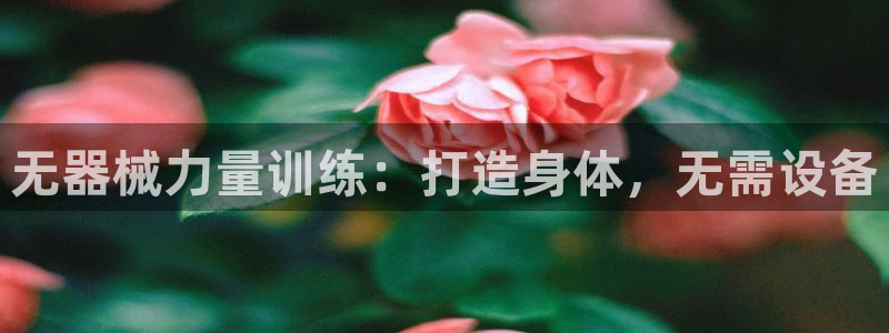 尊龙集团有限公司是国企吗：无器械力量训练：打造身体，