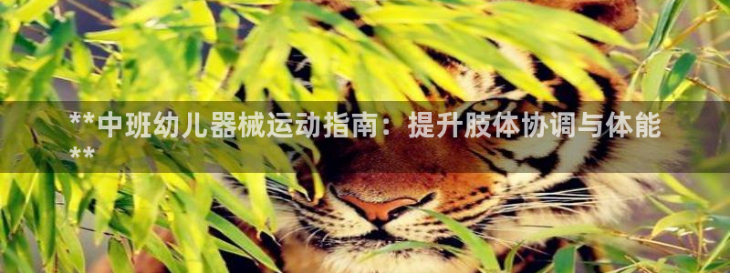 Z6尊龙凯时登录：**中班幼儿器械运动指南：提升肢体