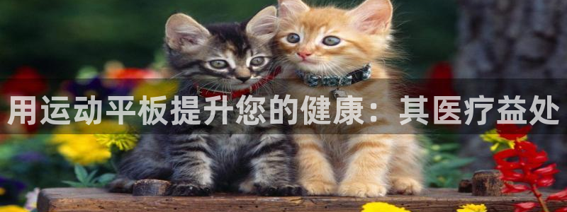 尊龙游戏app官方网站：用运动平板提升您的健康：其医