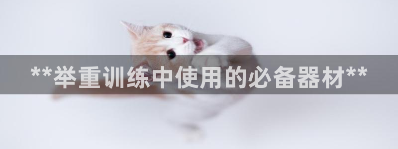 尊龙凯时投诉最狠的方法：**举重训练中使用的必备器材