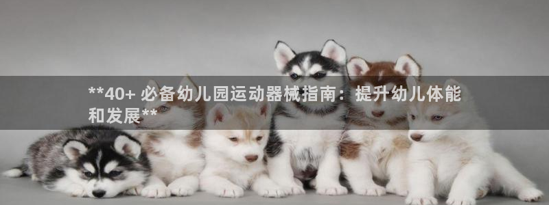 尊龙服饰品牌介绍：**40+ 必备幼儿园运动器械指南