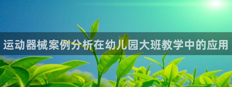 尊龙凯时家居是品牌吗：运动器械案例分析在幼儿园大班教