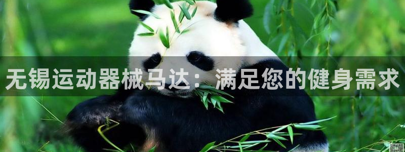 新版尊龙99：无锡运动器械马达：满足您的健身需求