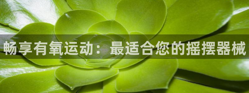 凯时kb88公司简介：畅享有氧运动：最适合您的摇摆器