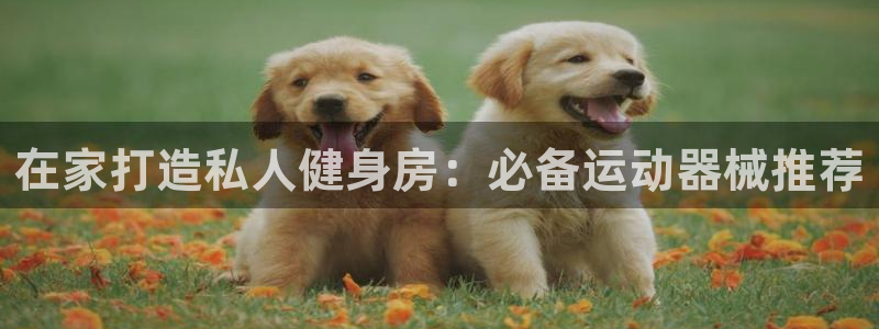 尊龙凯时官网网址：在家打造私人健身房：必备运动器械推