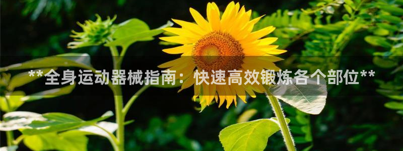 AG尊龙注册在线游戏：**全身运动器械指南：快速高效