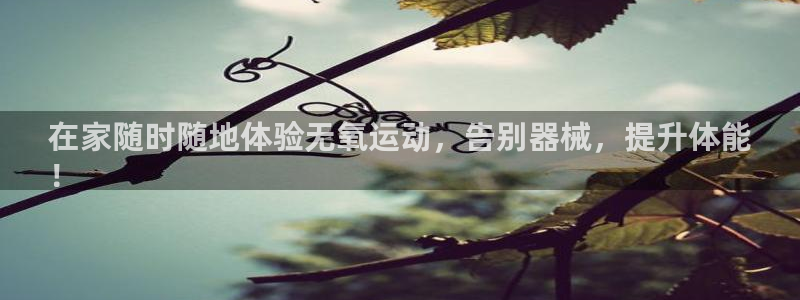 尊龙实业有限公司是正规还是仿：在家随时随地体验无氧运