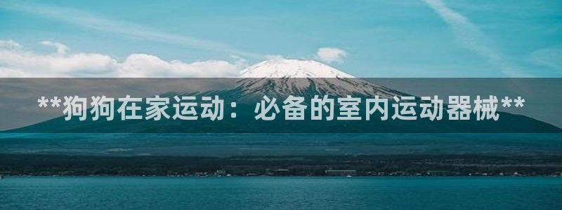 尊龙专访：**狗狗在家运动：必备的室内运动器械**