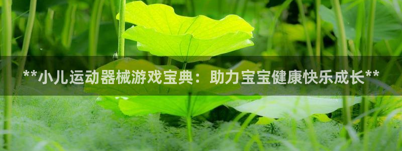 凯时k66登录：**小儿运动器械游戏宝典：助力宝宝健