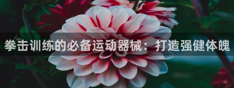 KB88凯时官网：拳击训练的必备运动器械：打造强健体