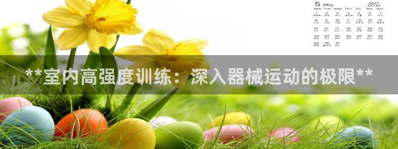 最新凯时官网网址：**室内高强度训练：深入器械运动的