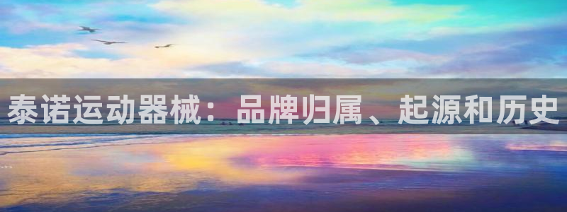 尊龙t400和尊龙t300区别：泰诺运动器械：品牌归