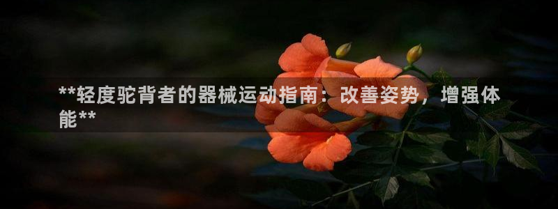 尊龙凯时平台信誉怎样：**轻度驼背者的器械运动指南：