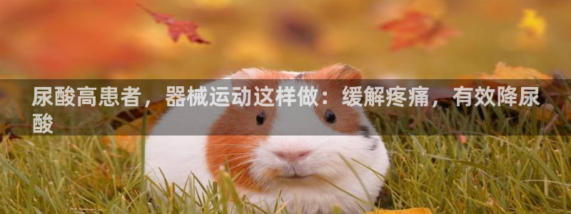 尊龙AG旗舰厅app下载：尿酸高患者，器械运动这样做