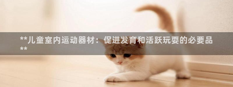 尊龙官网入口：**儿童室内运动器材：促进发育和活跃玩