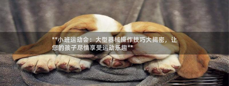 凯时赢来就送38：**小班运动会：大型器械操作技巧大