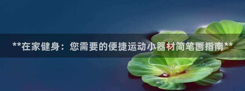 尊龙人生就是博网站：**在家健身：您需要的便捷运动小