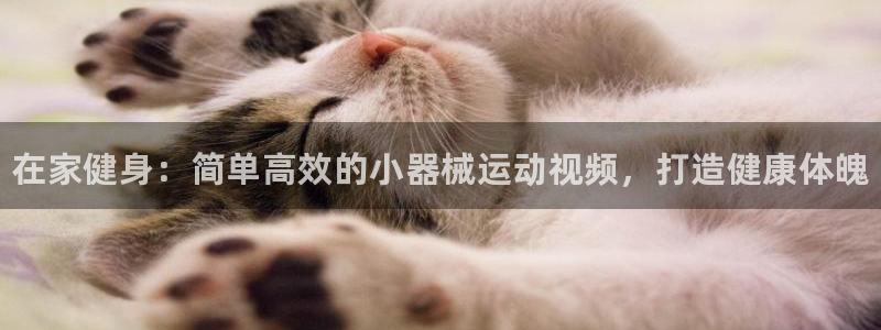 尊龙官网免费下载安装：在家健身：简单高效的小器械运动