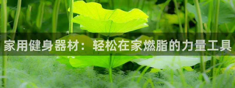 凯时K8国际：家用健身器材：轻松在家燃脂的力量工具