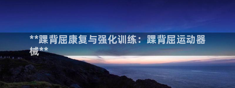 尊龙凯时处理未到账：**踝背屈康复与强化训练：踝背屈运动器
