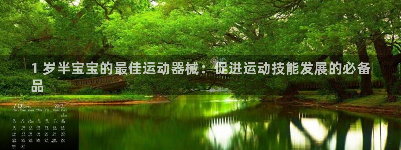 尊龙凯时代理官网入口：1 岁半宝宝的最佳运动器械：促进运动技