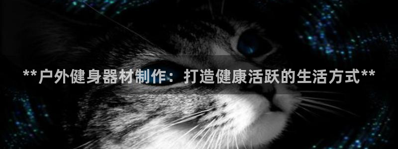 凯时AG网：**户外健身器材制作：打造健康活跃的生活方式**