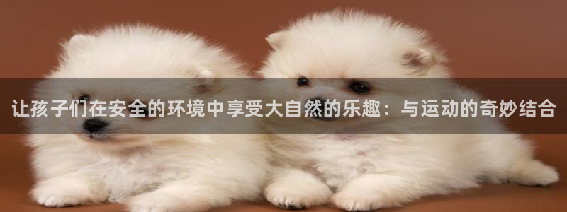 尊龙凯时的企业文化：让孩子们在安全的环境中享受大自然的乐趣：